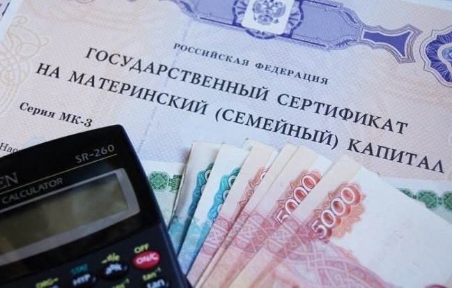 Министерство труда выступило против оплаты услуг няни материнским капиталом - слайд 