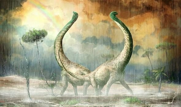 Как раз ко дню св. Валентина: ученые открыли динозавра с хвостовой костью в виде сердечка - слайд 