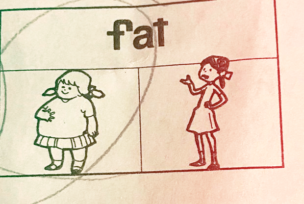 Маму возмутило домашнее задание: там нужно было указать, кого из девочек можно назвать толстой - слайд 
