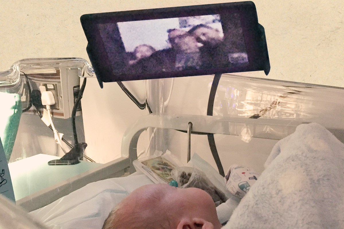 В больнице Северной Ирландии родители недоношенных младенцев читают им сказки по видеосвязи - слайд 