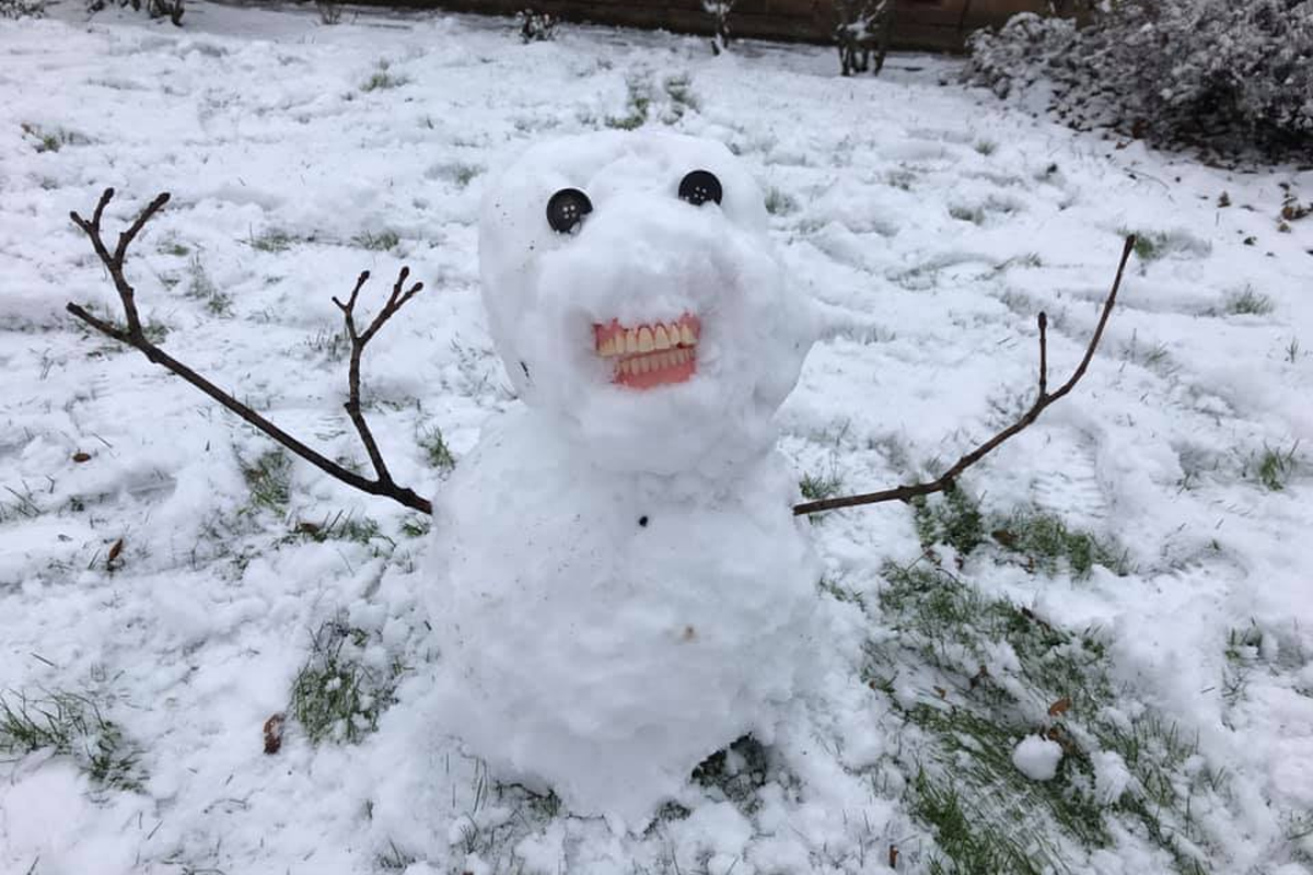 Британские дети приладили снеговику вставную челюсть своей бабушки - слайд 