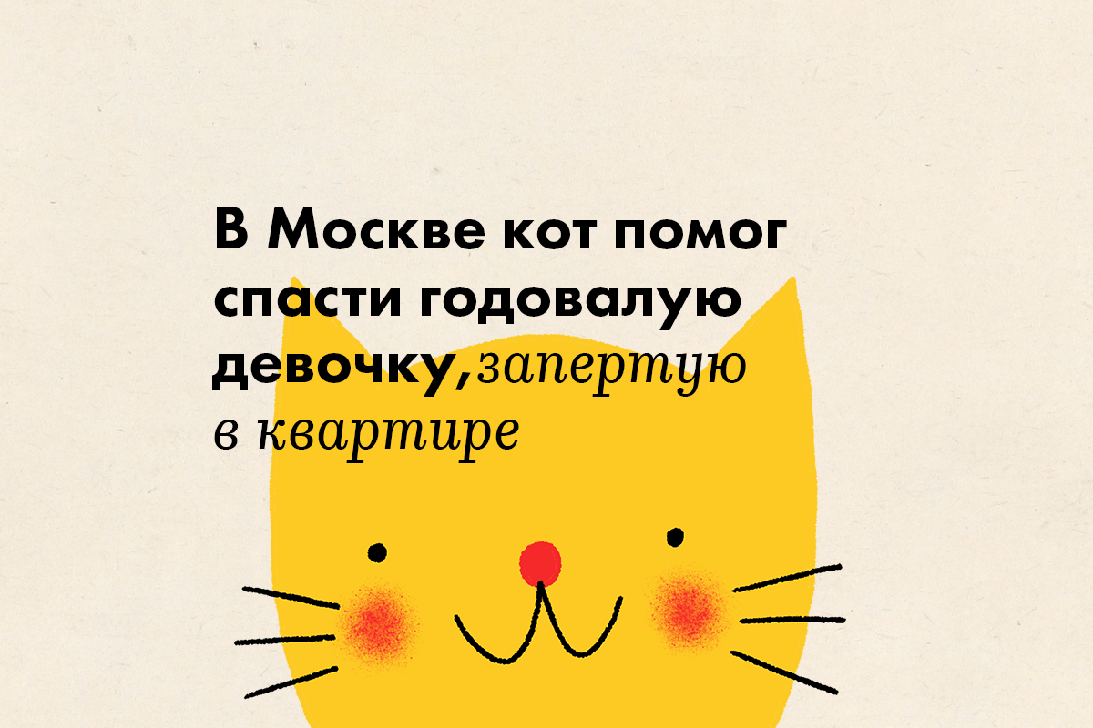 В Москве кот помог спасти годовалую девочку, запертую в квартире  - слайд 