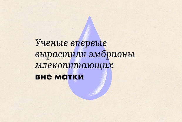 можно ли вырастить ребенка вне матки. pKMk6hEhMABseccKGc pdeD4V9eNrsf 620 416. можно ли вырастить ребенка вне матки фото. можно ли вырастить ребенка вне матки-pKMk6hEhMABseccKGc pdeD4V9eNrsf 620 416. картинка можно ли вырастить ребенка вне матки. картинка pKMk6hEhMABseccKGc pdeD4V9eNrsf 620 416. Печально известен случай 2012 года, когда беременная итальянка прилетела в Англию на двухнедельные курсы авиакомпании Ryanair в Станстеде. В отеле у нее началась паническая атака, она позвонила в полицию, там связались по телефону с ее матерью. Она объяснила, что ее дочь, скорее всего, не приняла лекарство от биполярного расстройства. Полиция поместила девушку в психиатрическую больницу по закону о психическом здоровье. Через пять недель по приказу опекунского суда, полученному филиалом Национальной службы здравоохранения в Мид-Эссексе, женщине насильно дали успокоительное, после чего без разрешения провели роды с кесаревым сечением. Соцслужба Эссекса немедленно забрала дочь, а мать отправили обратно в Италию без ребенка.