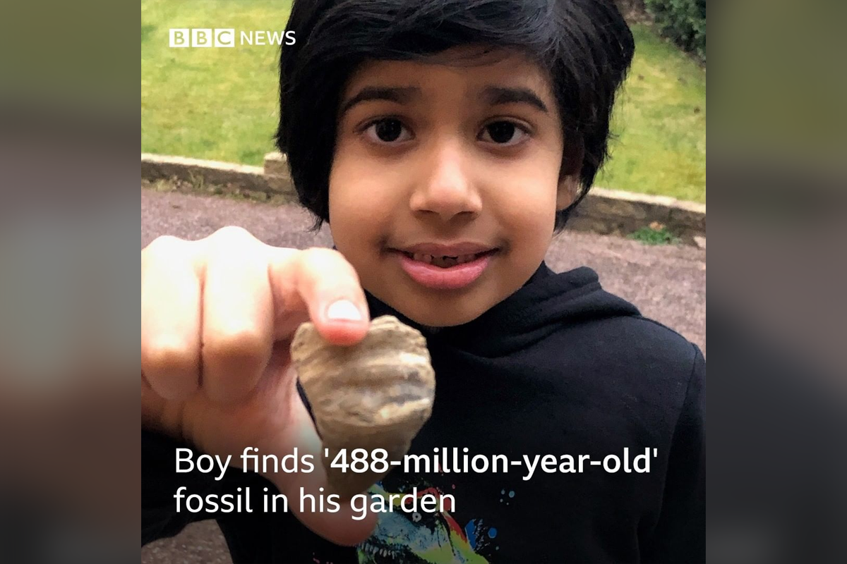 Шестилетний мальчик случайно нашел палеозойскую окаменелость - слайд 