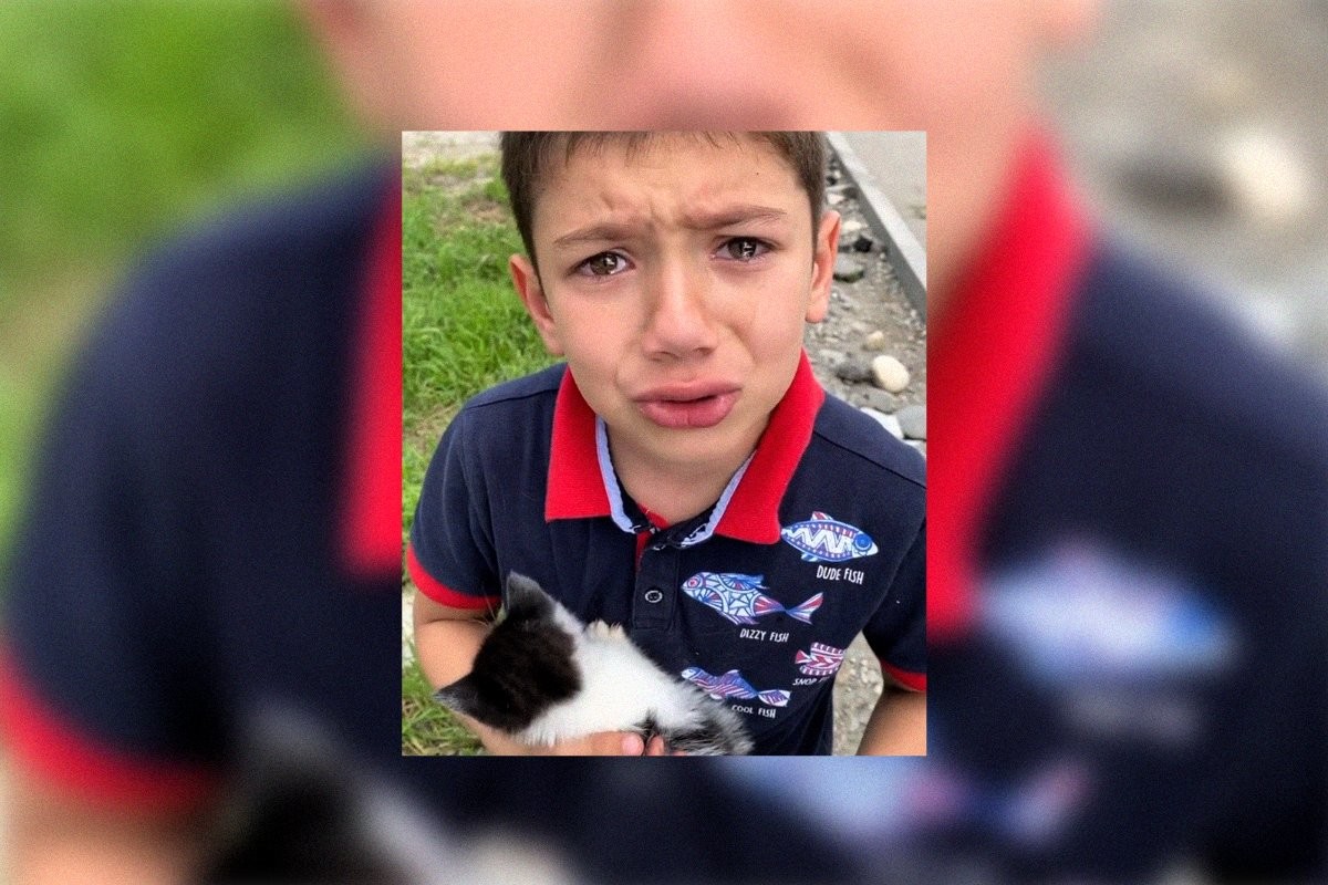 Мальчик, который слезно просил папу оставить котенка, покорил сердца пользователей Инстаграма - слайд 