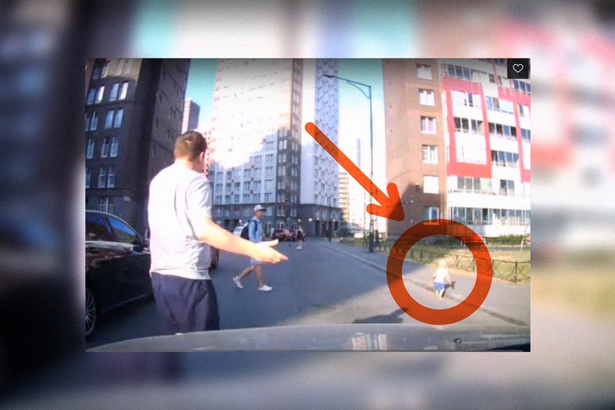 В Ленинградской области на дорогу выполз маленький ребенок. Инцидент попал на видео - слайд 