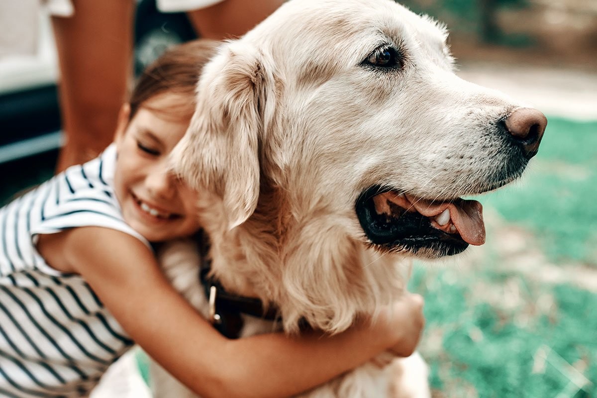 Терапевтические псы: как собаки помогают детям вакцинироваться от коронавируса - слайд 