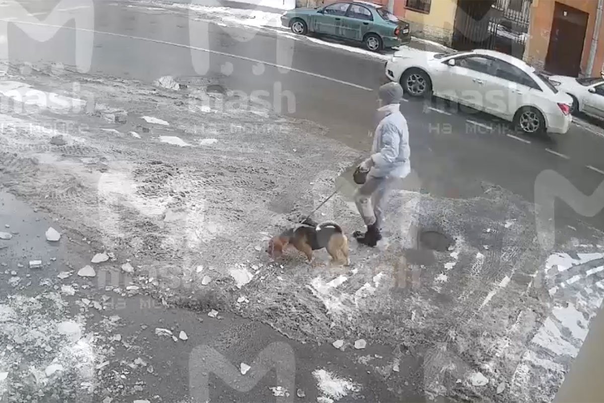В Петербурге глыба льда упала на девочку с собакой — девочка чудом не пострадала - слайд 