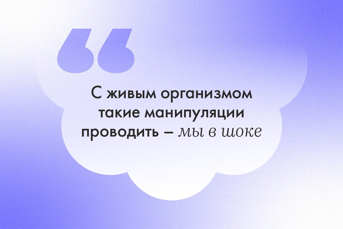 «Мы в шоке»: в Красноярске семиклассникам дали задание провести вскрытие рыбки - слайд 