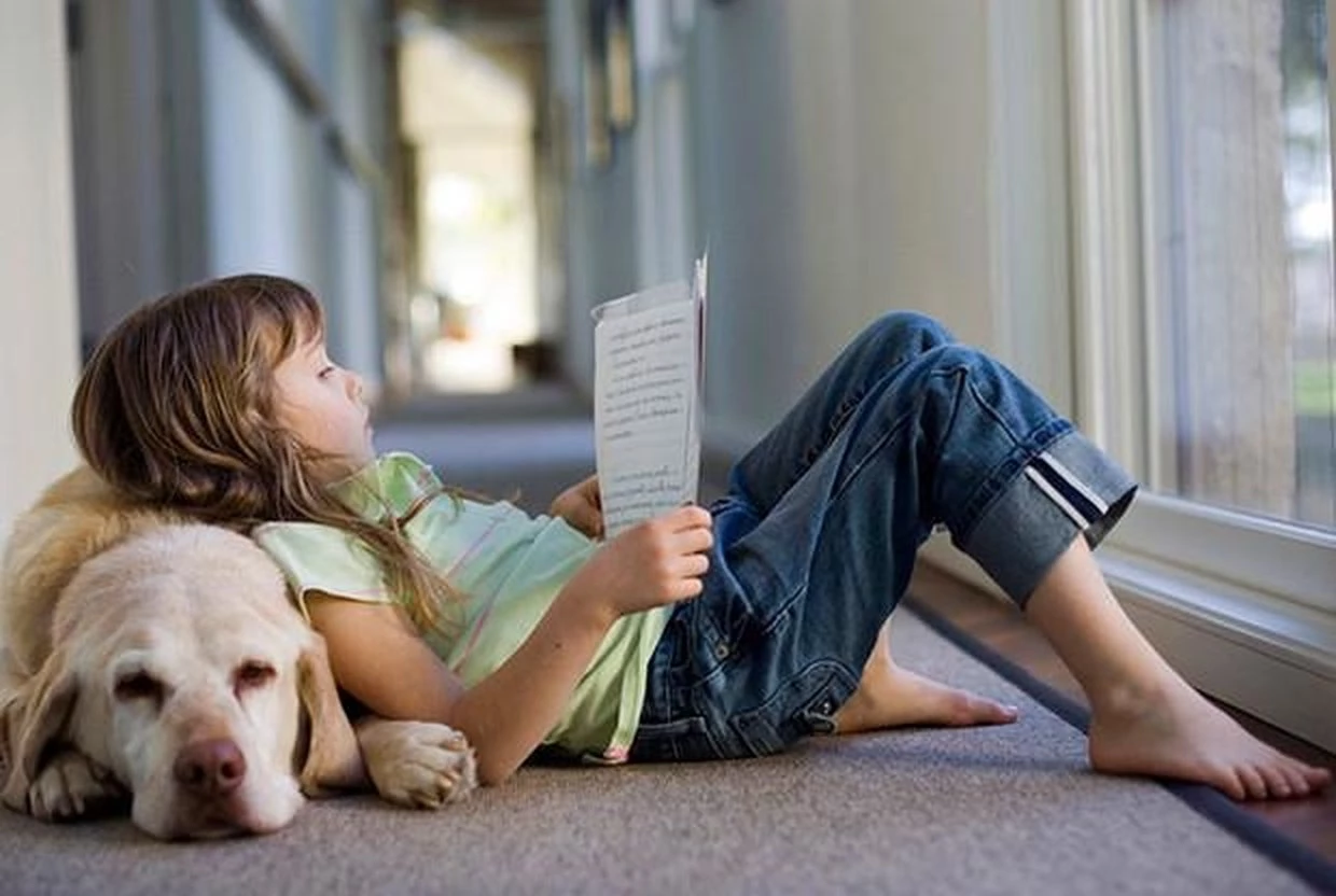 6 новых детских книг декабря - слайд 