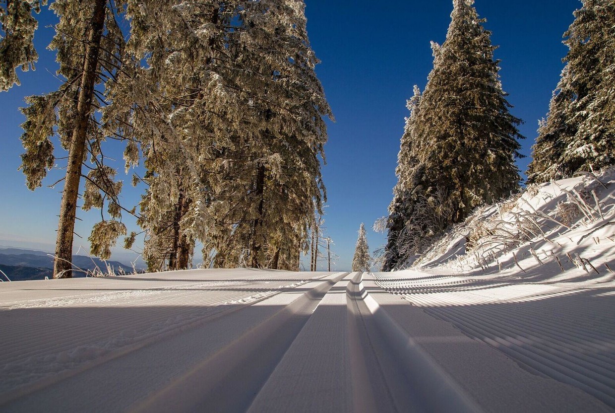 9 лыжных трасс для семейных прогулок - слайд 