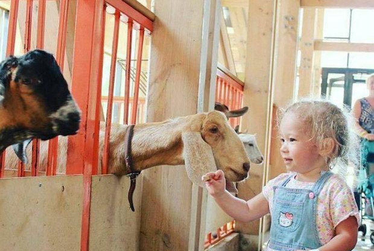 9 мест в Москве, где познакомить детей с животными (здесь нет ни одного зоопарка!) - слайд 