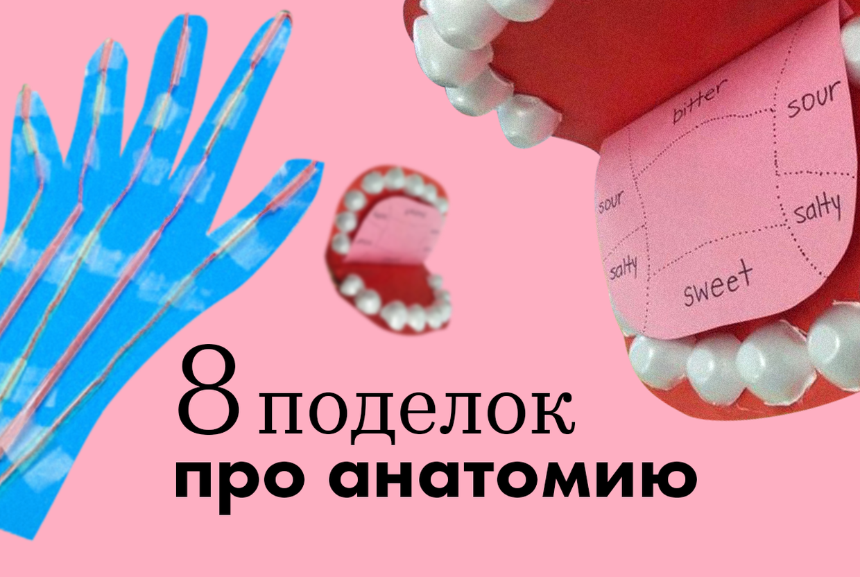 Анатомия человека в ватных палочках и шариках: 8 интересных поделок - слайд 