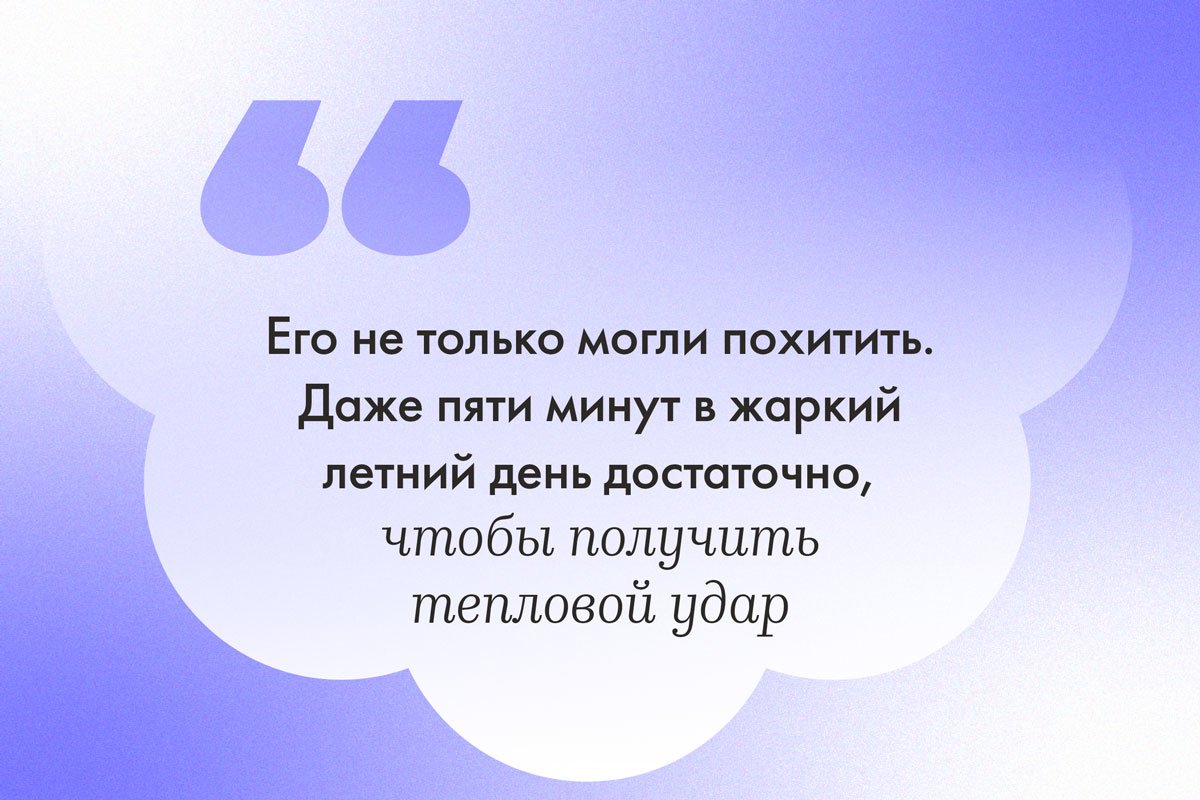 Отец подстроил похищение ребенка, чтобы проучить жену