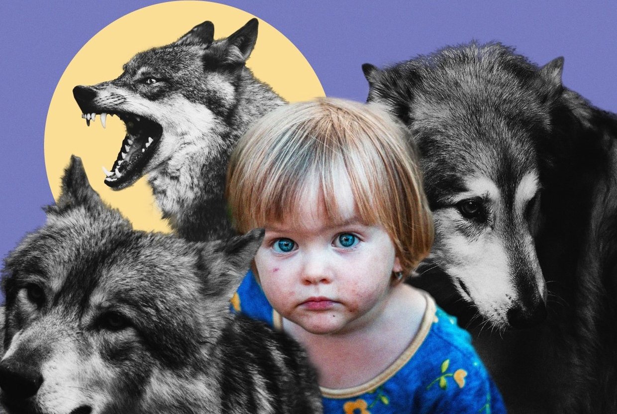 Мальчик воспитанный волками на русском. Дети воспитанные волками. Ребенок воспитанный волками. +Воспитание детей волками. Дети которых воспитали волки.